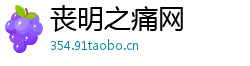 丧明之痛网